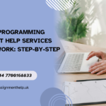 Programming Assignment Help