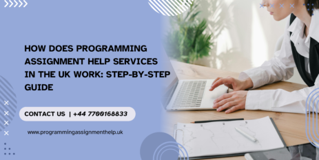 Programming Assignment Help