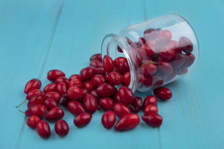 Montmorency Cherry Capsules