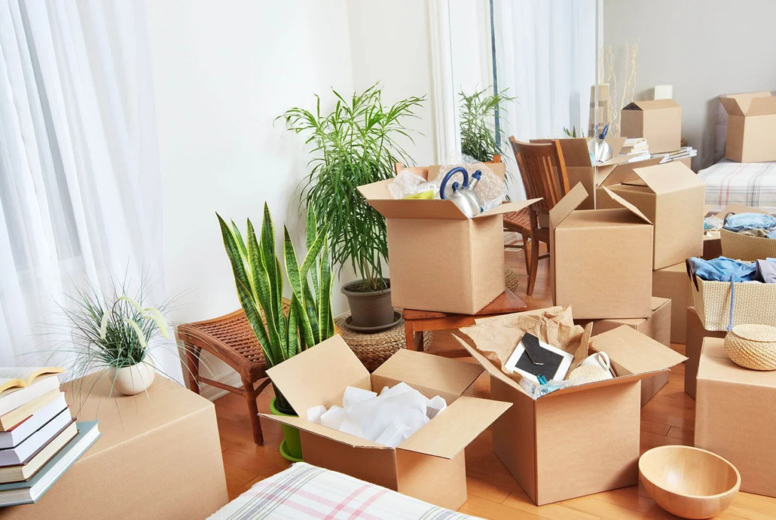 Commercial Movers Services in Tampa