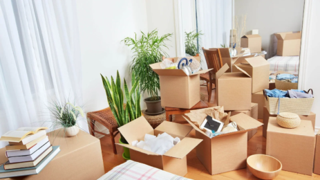 Commercial Movers Services in Tampa